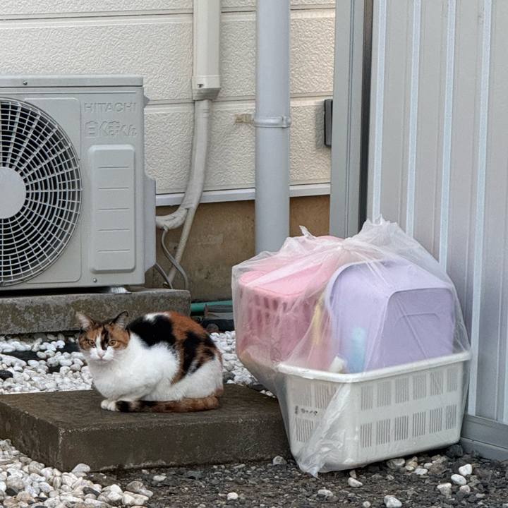 Fcbe50f9 08cb 4bc9 bf4c d234a5a64b07 1758853639617