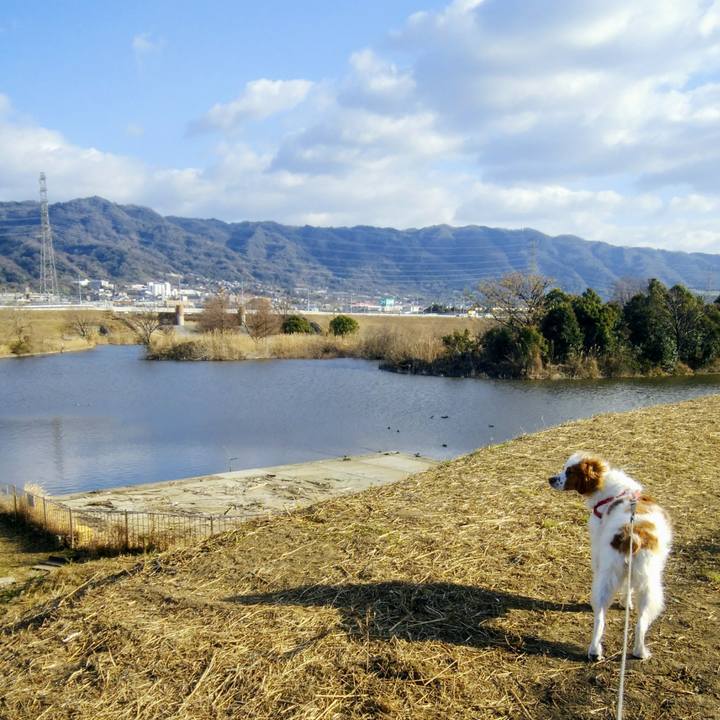 Fcbe6638 cc4c 42d0 96ad 64949afb1589 1548590614459