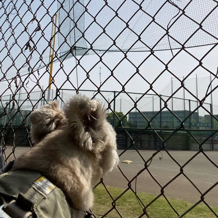 Fcbf0025 0cb3 44c3 be07 1de11865739f 1745057432753