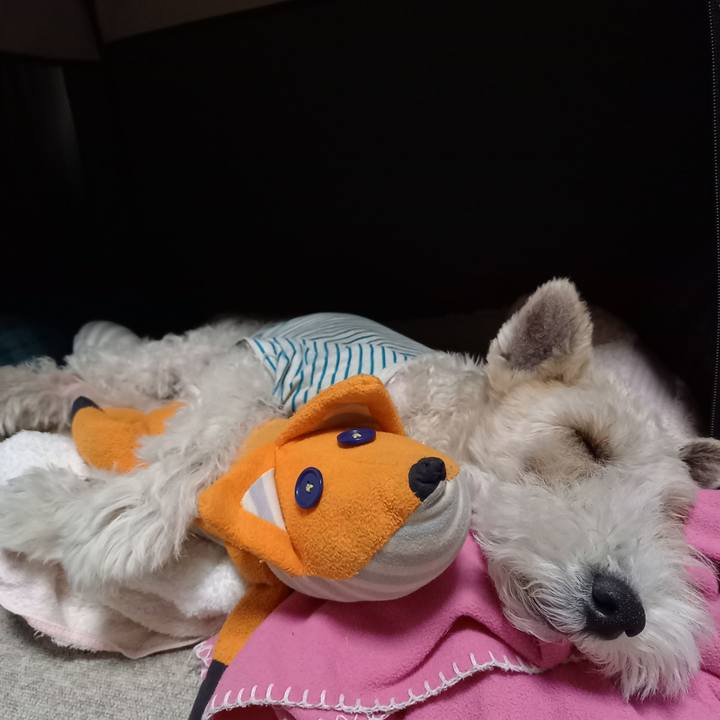 Fcbf1152 2d35 4186 9d0d bf70998a88e7 1619534693212