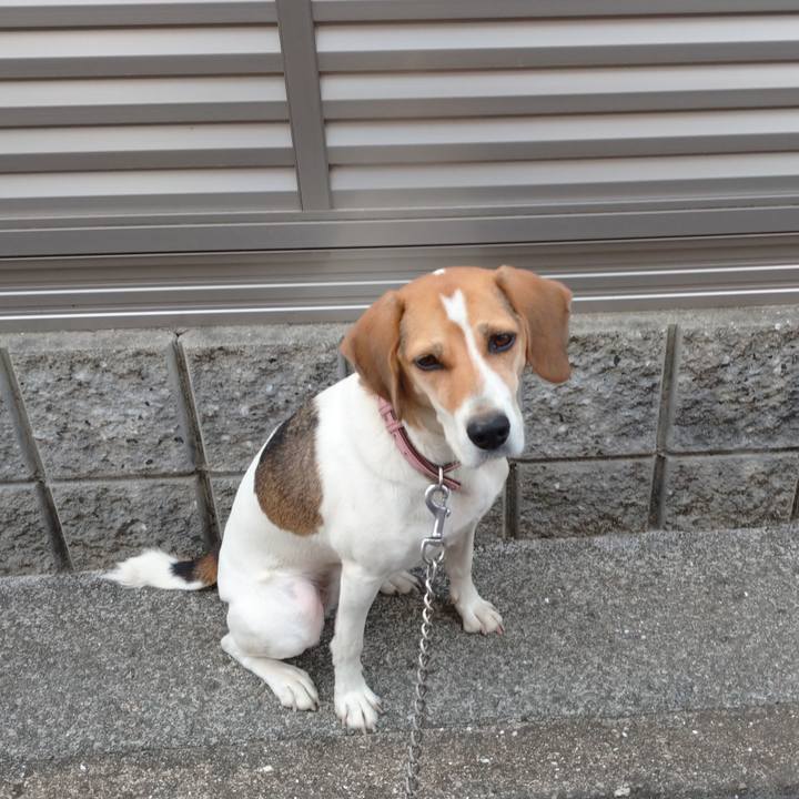 Fcbf5303 a594 41cc 9356 0e619844620b 1601724136114