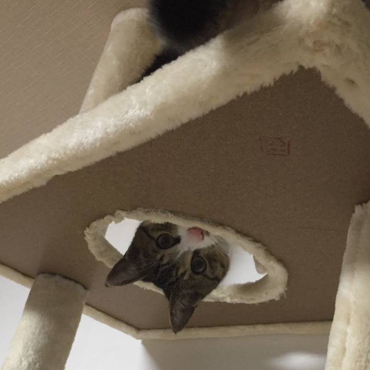 Fcbf7d51 2d4a 4af0 b11d 10d8a326159e 1658618174168