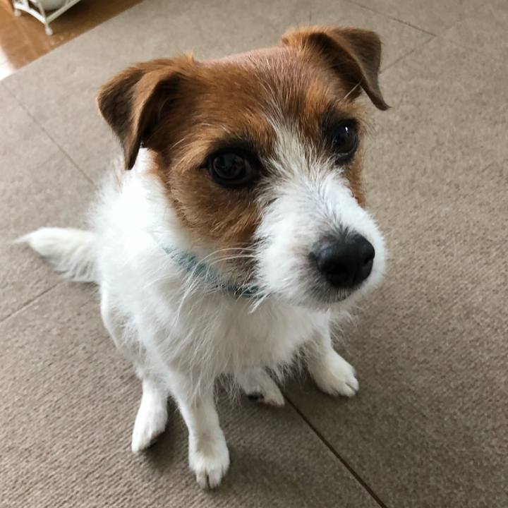 Fcbf81a6 9fc6 4ced b078 2e79e2d109bb 1524990593246