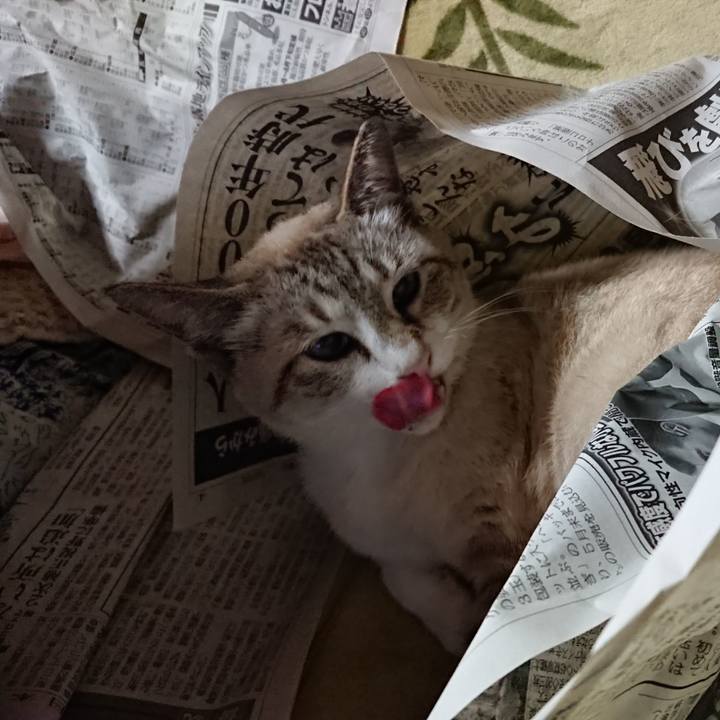 Fcbfb18f e2f0 46b0 ad2e 8cbcdb22e8f3 1591274705454