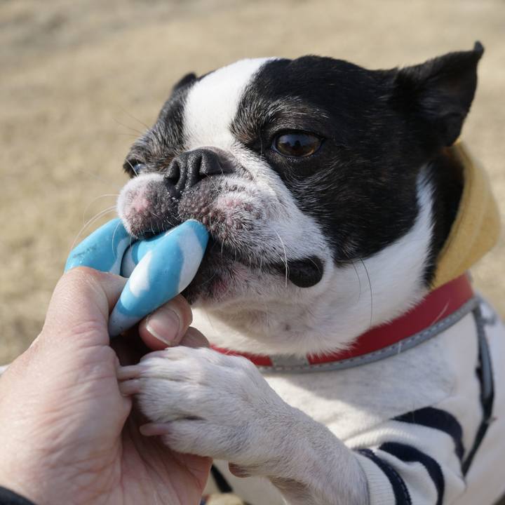 Fcbfc0ae b4fb 4e0b a801 22a9b9986b3b 1518181010633