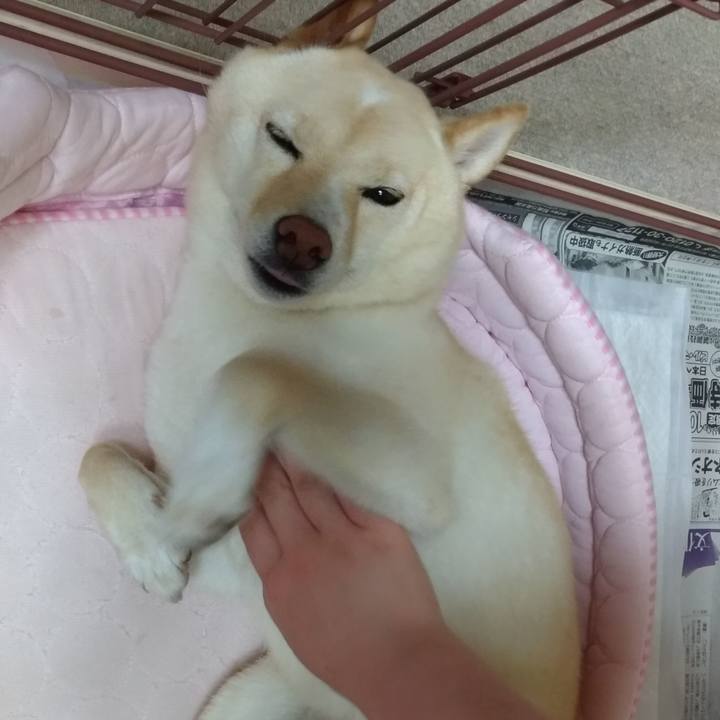 Fcc02b59 a9d2 4475 8549 89ee6f3ece64 1596286485098