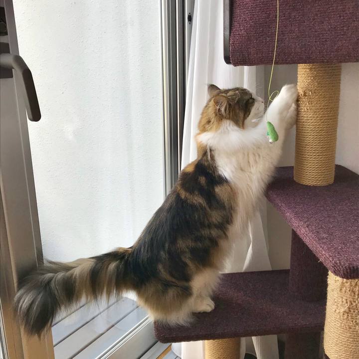 Fcc03417 c011 44b8 8b5c a128217333dc 1554517171651