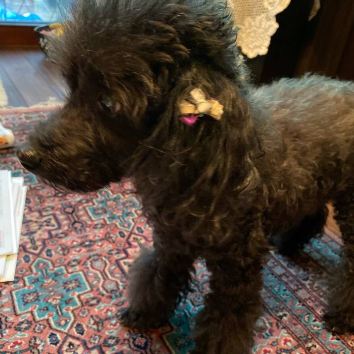 Fcc08190 ebad 4837 898a 7360867d9624 1602936326489