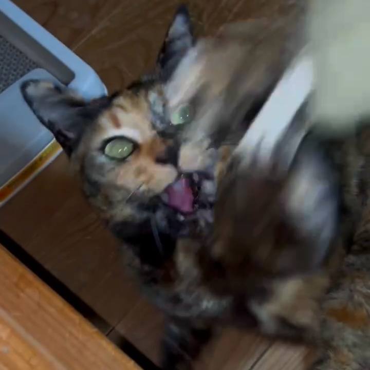 Fcc0c587 fbfe 42ae 9898 e9626131b049 1773783287398