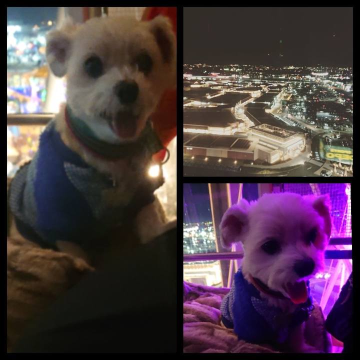 Fcc0ce02 fc70 4ea7 bb42 e36c64efbc06 1545739256641