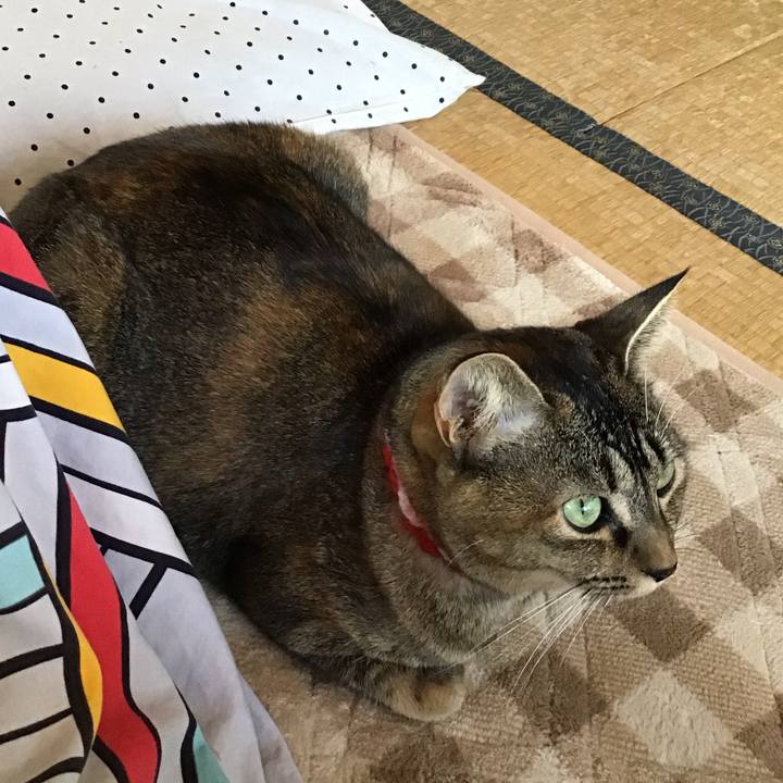 Fcc10fdf 42e8 41ca a73b 25eae06d7d31 1605152853878