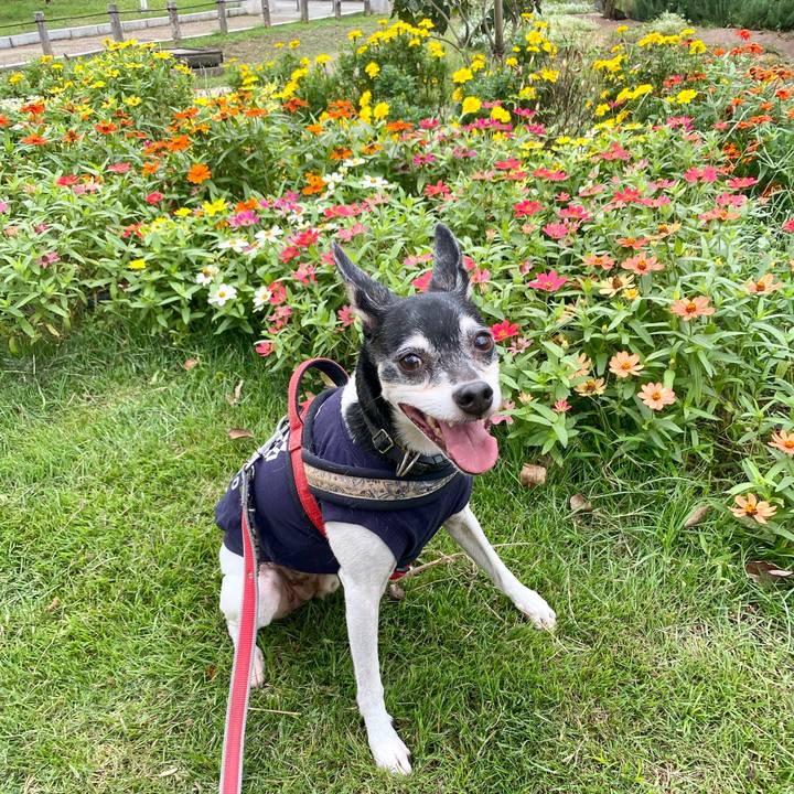 Fcc1392d 4267 4d30 82ff 32cb51c61c68 1602375462691