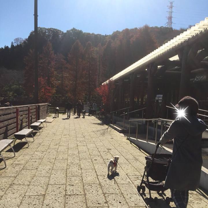 Fcc14548 4a11 4069 b63a 1b11a854f7c1 1511093417123