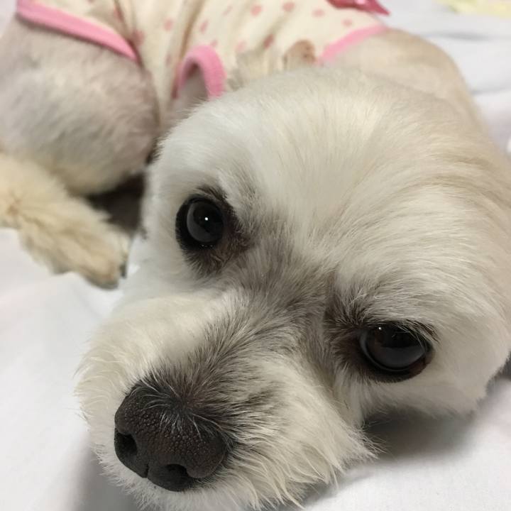 Fcc156b2 1cac 4488 9a75 3bfcd5e77c0b 1559126094535