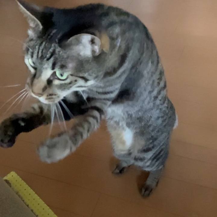 Fcc160d9 1a2f 4f5f 91cc ae8ef75e12f1 1626928475176