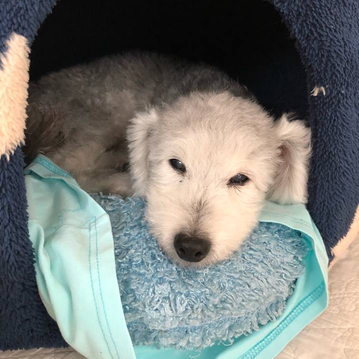 Fcc174f4 39a4 4270 a336 7030cea8baac 1599696812966