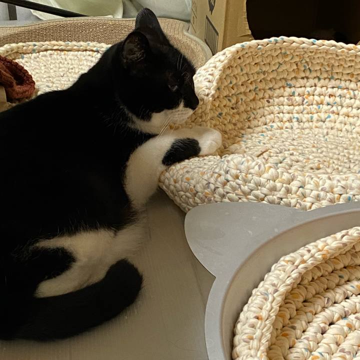 Fcc1805b 8f03 4a30 b877 1ab5145f42a6 1627447713504