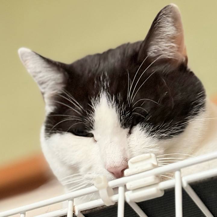 Fcc189a1 b4b6 43cd bb69 eb946598bbe6 1740794710463