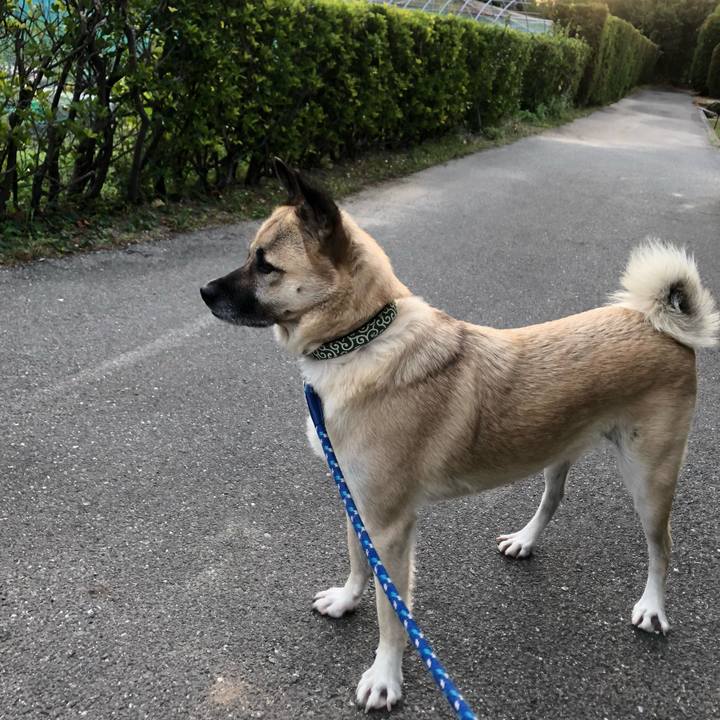 Fcc18cc4 101b 488e aae6 fc2afbec2205 1635335051624