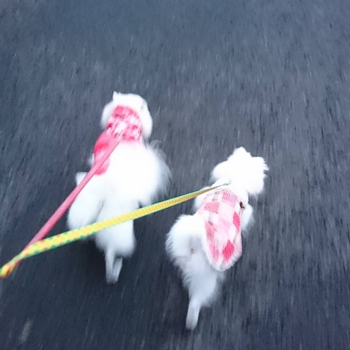 Fcc1cd0f e815 46be 8b18 3d6a82f2c60b 1549529576878