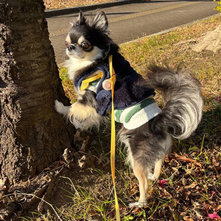 Fcc210a7 2d0e 4e92 8ad1 ebd7294b8d0d 1737907103686