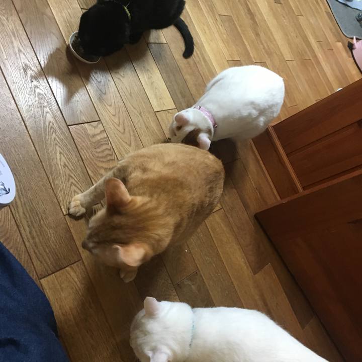 Fcc222f8 fe72 4f92 b040 c3dc487e0f75 1535724768254