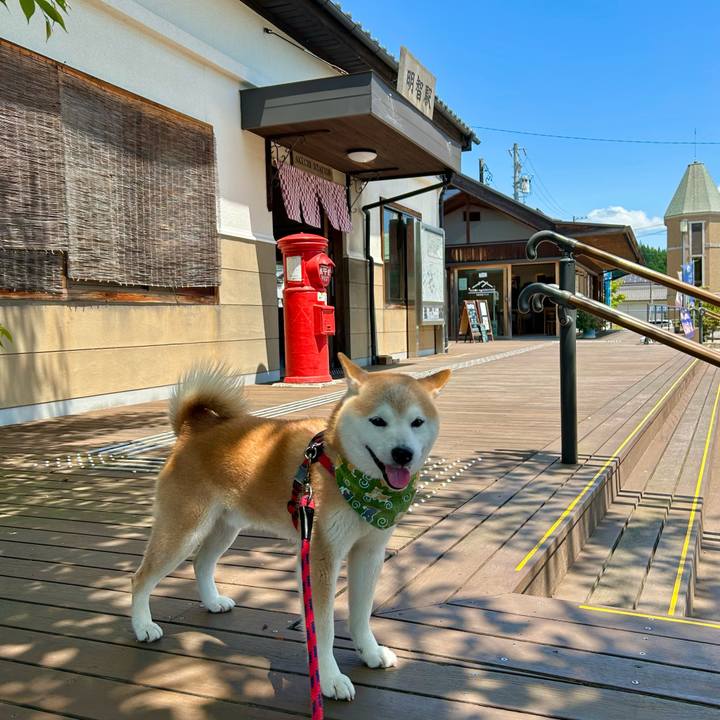 Fcc22a62 1d94 4fb8 92b1 39f96200f228 1748519798970