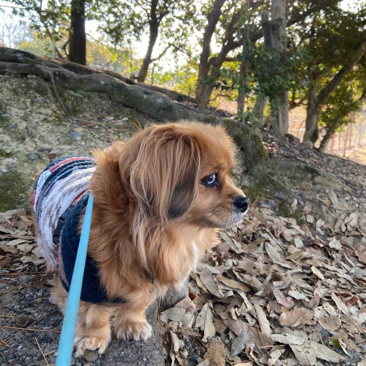 Fcc23a59 d986 4600 b7d6 e3b83366a015 1613005843730