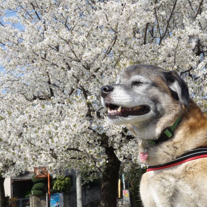 Fcc24518 1705 4225 8a79 1e84fa61b75a 1712710229284