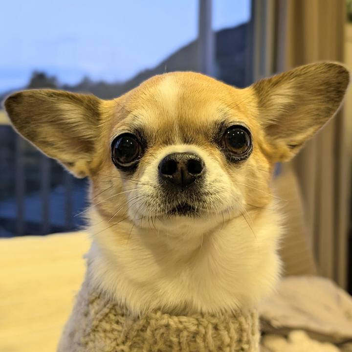 Fcc26f47 7b35 4c7d a23c 01c1d85b99bb 1736075726256