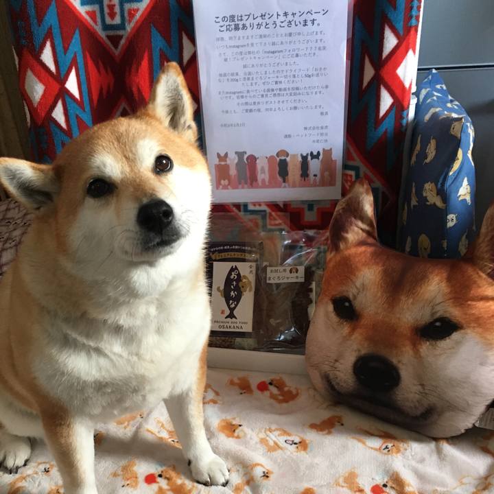 Fcc2862d 5caa 4f01 8cbb f8d272833579 1612317645973