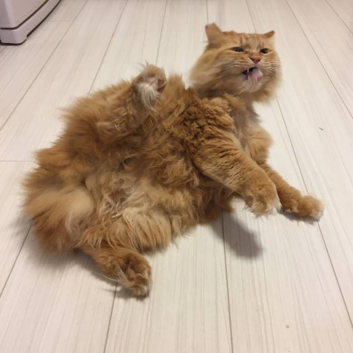 Fcc2cf29 392c 4091 ad1f 95be8fd699e0 1517695973375