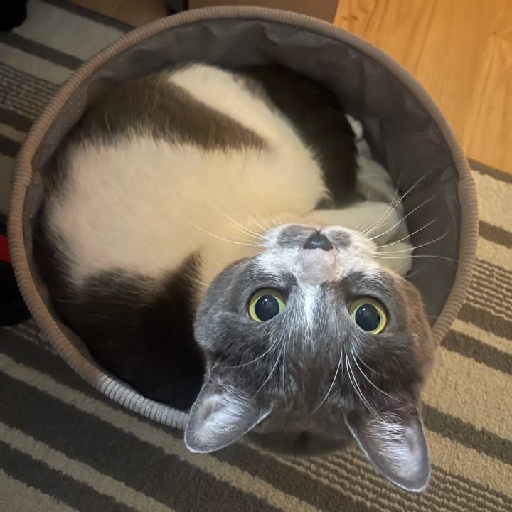 Fcc2d77f ef87 47c4 83af a9ac094ddc3d 1734522651929