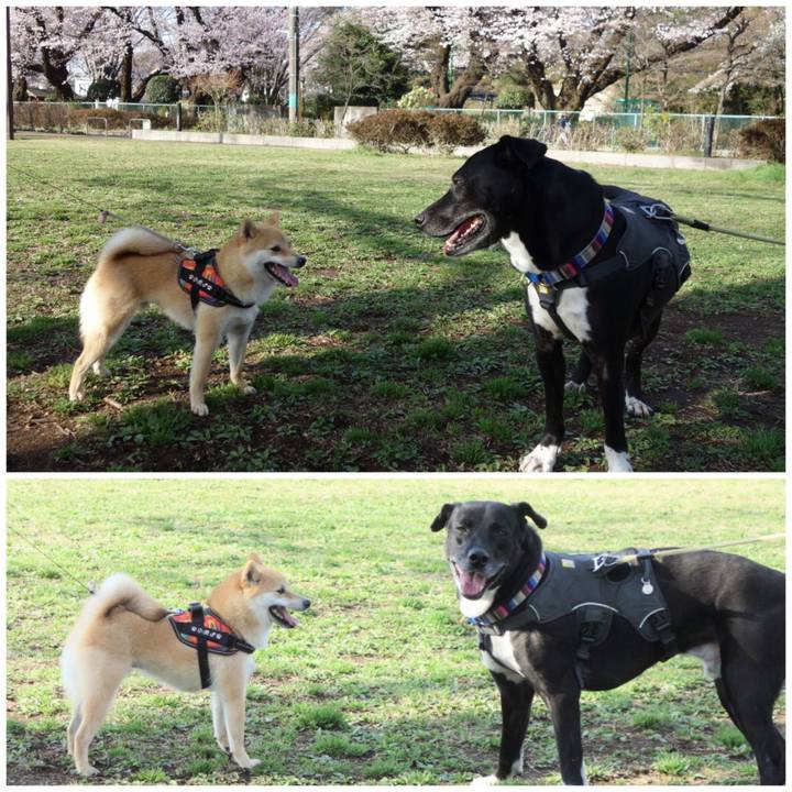 Fcc33356 e789 479b b2c0 d2da2be67c75 1648428949499