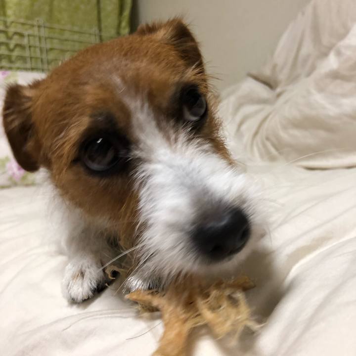 Fcc339b2 1795 4a90 a908 a2ae87c60905 1528896197526