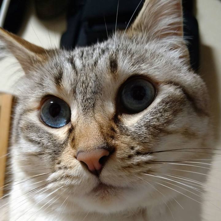 Fcc33d3c ba3f 4095 8531 d00e1ff3fe38 1652614353570