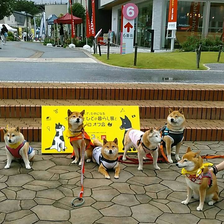 Fcc343ad f265 4c04 8504 445b7a2b8a63 1560080772822