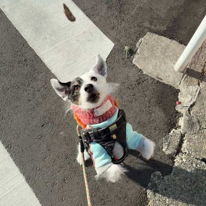 Fcc359ae 11b9 40da 82c9 ca44253d9748 1769300184681