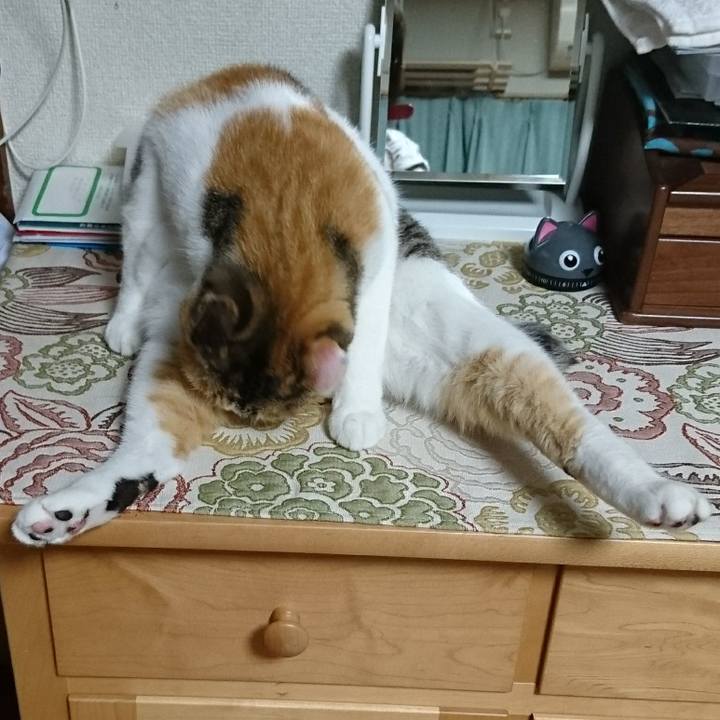 Fcc38ca1 5519 4127 97a1 9a0f21bda93b 1566472916279