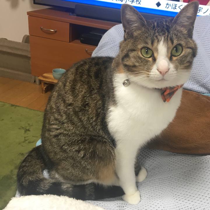 Fcc3ca3f 6a53 43f7 9d24 7620e184ac20 1704584162492