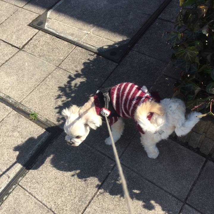 Fcc3d8f9 7dd6 4fe5 bf11 5094f5e35d68 1520671939718