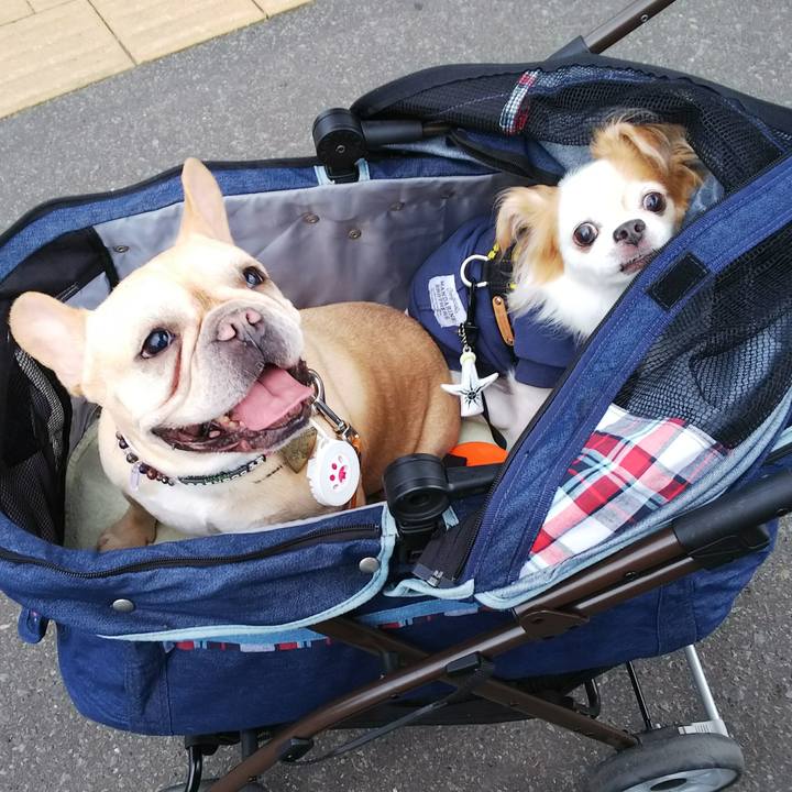 Fcc42b6f 1994 4a38 ad09 e09da6619f88 1537607286790