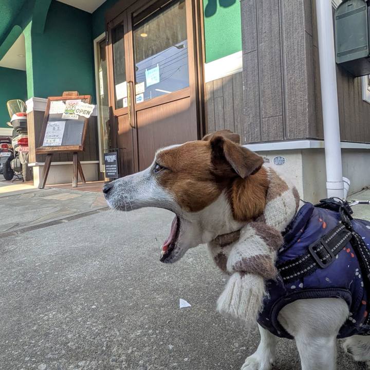 Fcc4421d 94bc 43f1 bdab 8f2abac6b1a6 1768521308794