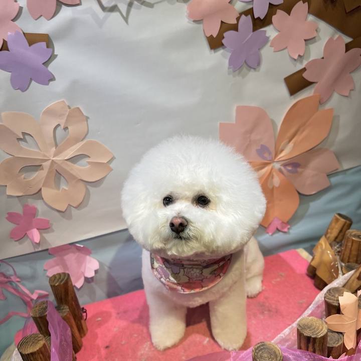 Fcc4ac5b e167 4d55 bf2f ff4726416ff2 1648637819569