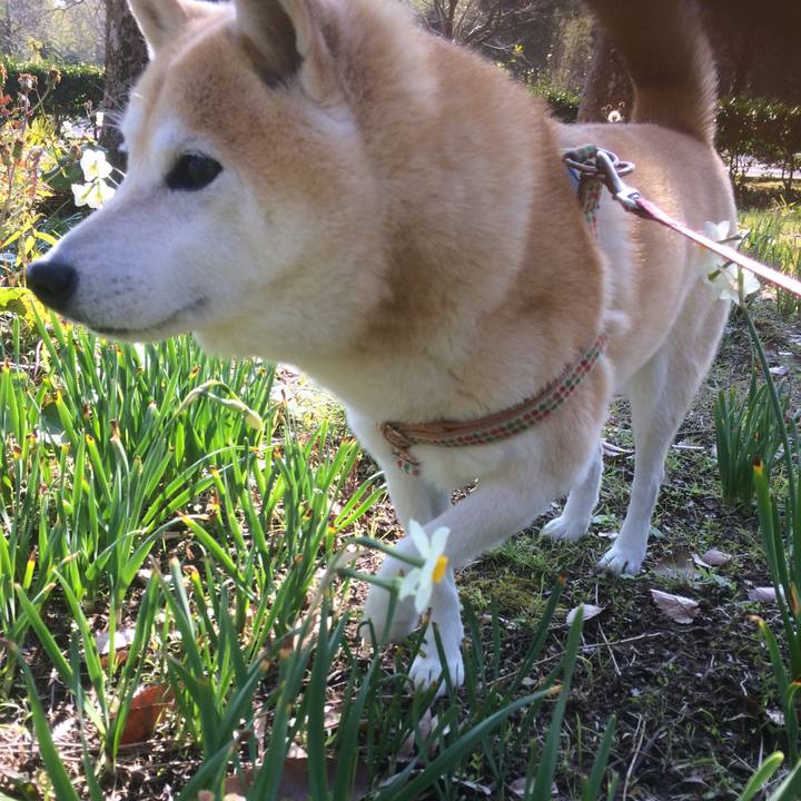 Fcc4e42a a557 4d17 9c25 f70e10186aff 1546789370196