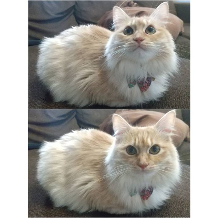 Fcc4f1a9 d6d4 4197 af97 6a36914f5514 1648263812671