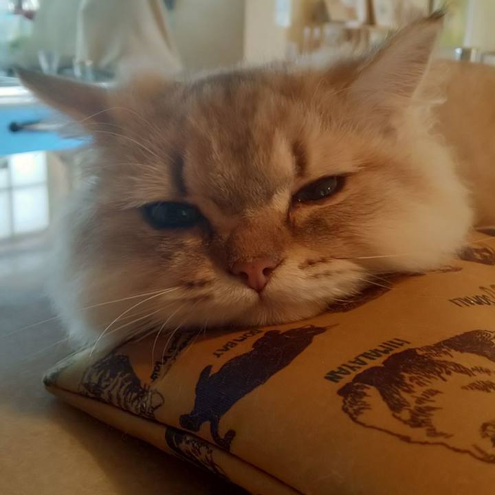 Fcc4f1fc c5fe 4ec8 9487 ade85256c5a1 1567923838806