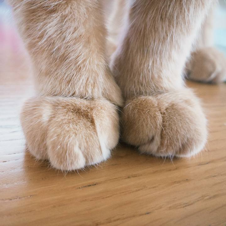 Fcc4fc3b 3998 4130 9f52 4033c13c67d5 1766793407492