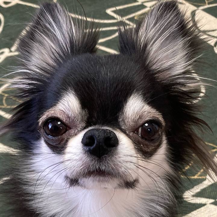 Fcc5184c ffc1 4970 9860 a03eb6e22b26 1644622811523