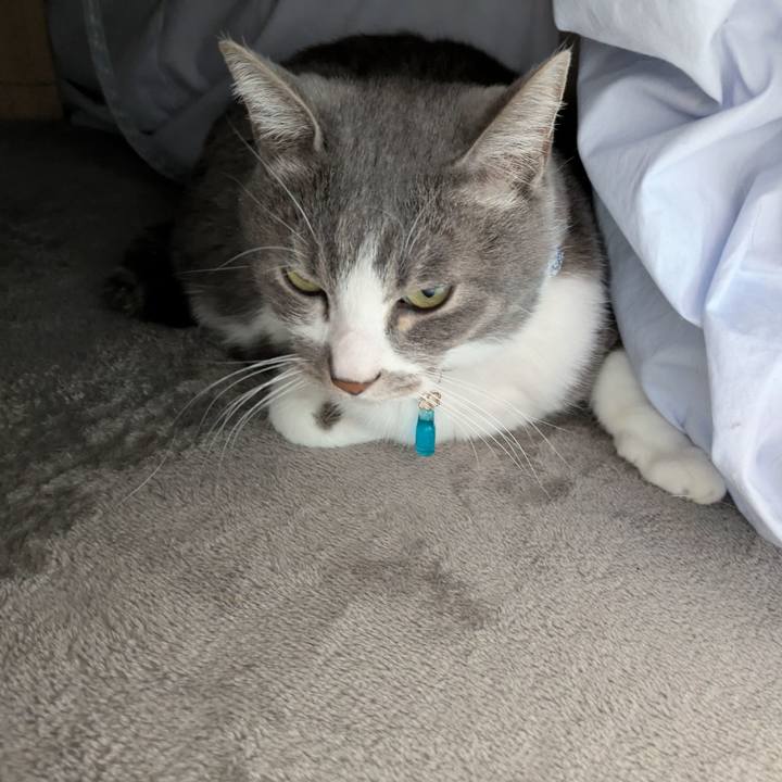 Fcc53764 ac21 4220 a668 9a069efa10c1 1740715287434